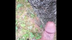 Wank Off In The Woods