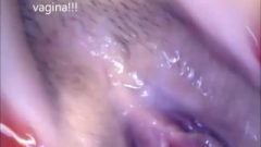 Web-cam In Mouth Vagina And Brutal Butt Closup